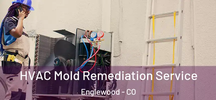  HVAC Mold Remediation Service Englewood - CO