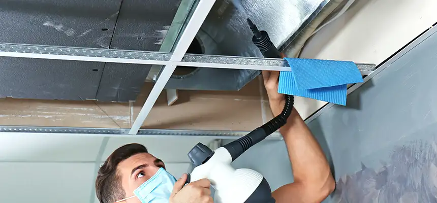 Our Air Duct Rodent Removal Services in Englewood, CO