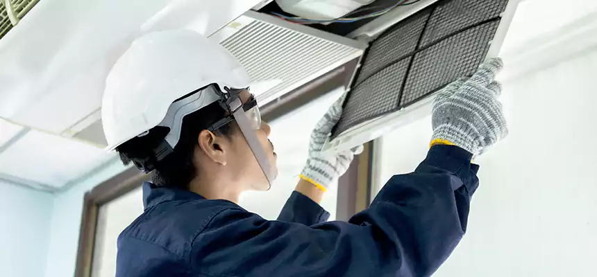 Our Mold & Mildew Removal from Air Ducts Services in Englewood, CO