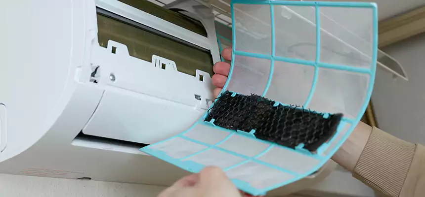 Gentle Ductwork Odor-Control Pet Dander Duct Cleaning in Englewood, CO