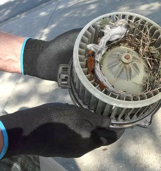 About Air Duct Mice Removal in Englewood, CO