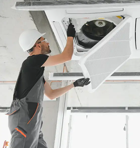 About Air Duct Rodent Removal in Englewood, CO