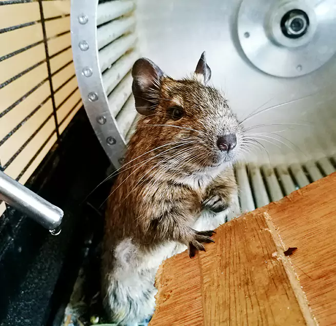 Why Homeowners & Businesses Trust Us Englewood, CO